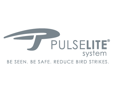 Pulselite